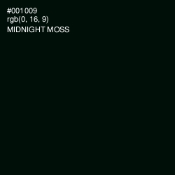 #001009 - Midnight Moss Color Image